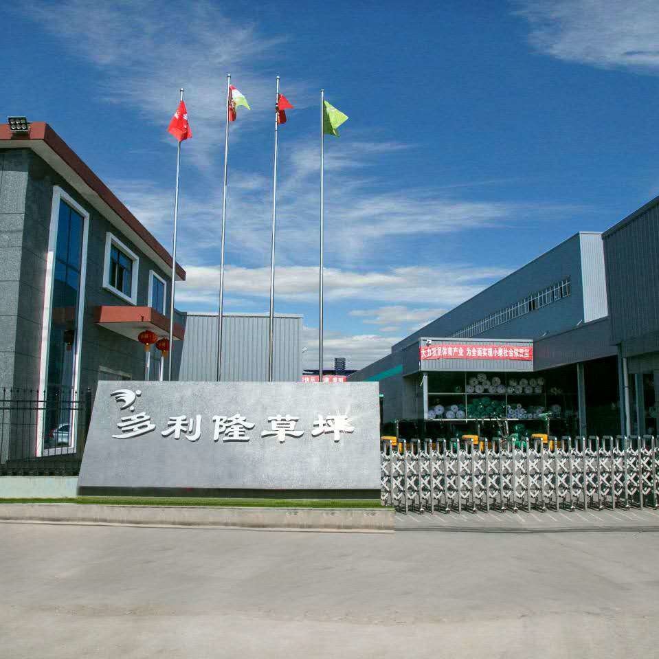 الصين Dorelom artificial grass group co,ltd. ملف الشركة