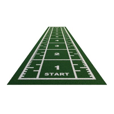 دوريلوم سميكة عالية الكثافة رياضة الرياضة الأرضية العشب الاصطناعي العشب السجاد CE ISO9001 ISO14001