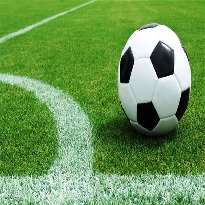 حديقة كرة القدم الطبيعية غير الممتلئة 50mm 60mm لملاعب كرة القدم والرياضة الرياضية في الهواء الطلق