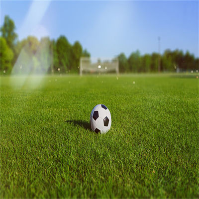 حديقة كرة القدم الطبيعية غير الممتلئة 50mm 60mm لملاعب كرة القدم والرياضة الرياضية في الهواء الطلق