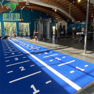 فرش رياضي متعدد الوظائف Dorelom متعددة الوظائف العشب الاصطناعي الملون مع الشعار الطباعة