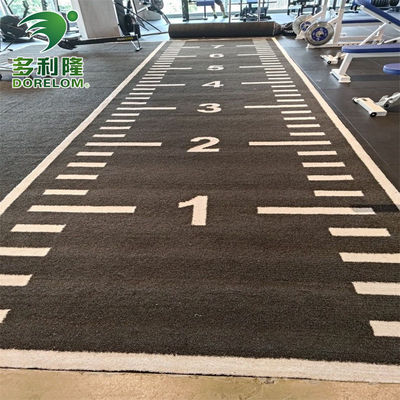 أرقام مرموقة دوريلوم PE Gym سجادة العشب الاصطناعي للتدريب الليلي ومسار السلة
