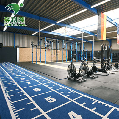 أرقام مرموقة دوريلوم PE Gym سجادة العشب الاصطناعي للتدريب الليلي ومسار السلة