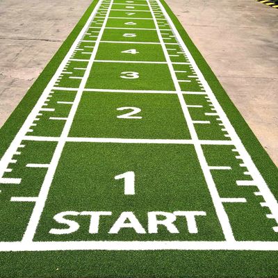 CE ISO9001 ISO14001 معتمد دوريلوم تدريب الرياضة العشب المسطح للأرضيات اللياقة البدنية