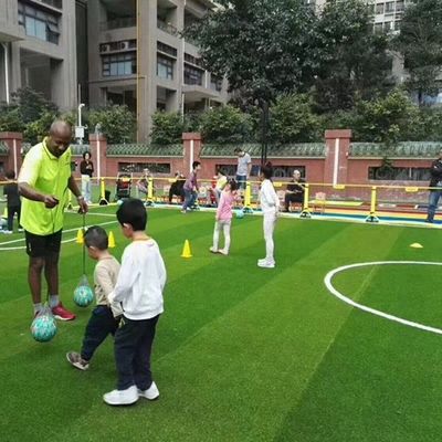 معدل الغرز 16.5/10 سم 50 ملم كرة القدم العشب الاصطناعي العشب الاصطناعي لميدان كرة القدم